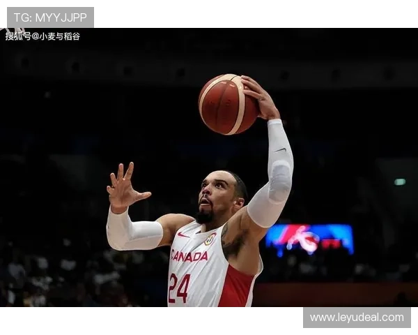 米特罗维奇战术适配性与进攻作用解析